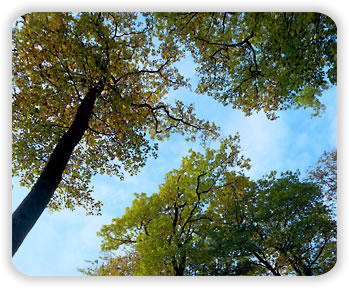 Damaris Molnar in Friesenhagen