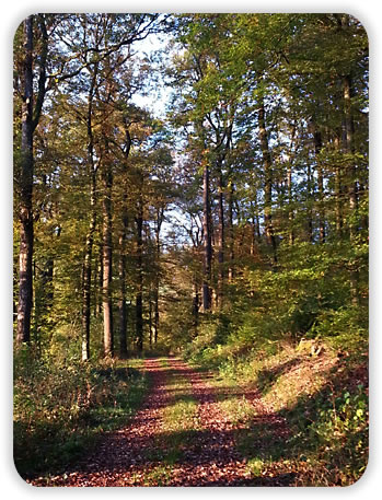 Damaris Molnar in Friesenhagen